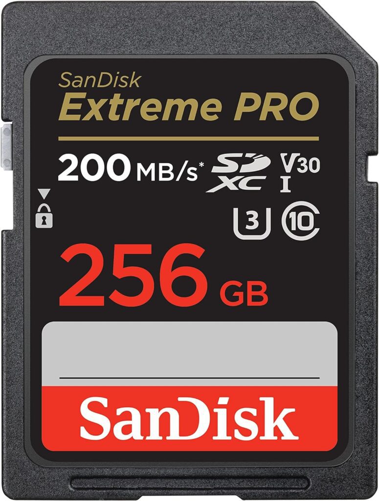 sandisk_256gb-775x1024 Kit De Streaming Personal Para Creadores De Contenido En 2024